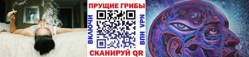 Галлюциногенные грибы GOLDEN TEACHER Кисловодск