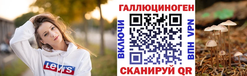 Псилоцибиновые грибы мухоморы  даркнет сайт  Кисловодск 